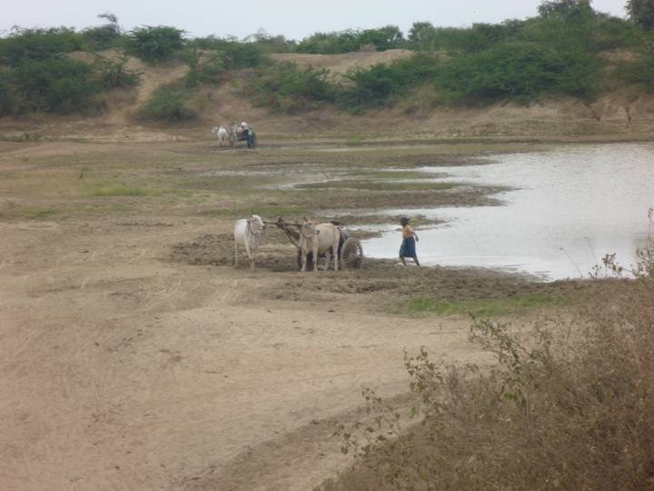 Water is gathered from a pool and transported back to the village to be stored in huge earthenware jars.