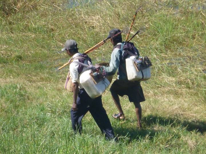 Next morning we watched as some men used some electronic gadget and a net for fishing.