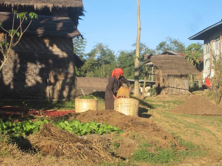 Village scene