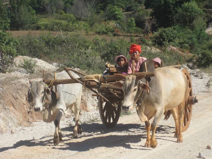 This was the main form of transport in the countryside.