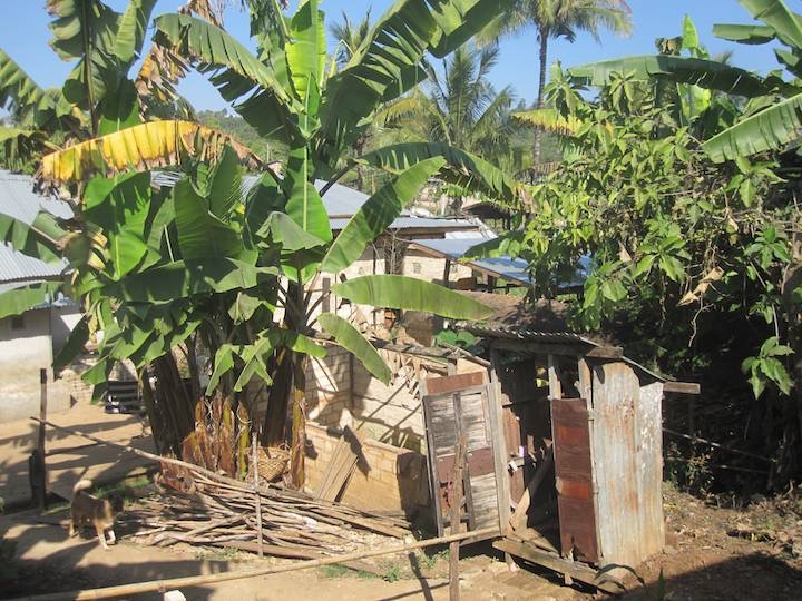 The domestic scenery: Here a backyard including outdoor loo.